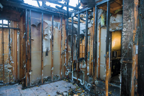 Professional Fire Damage Removal technician working in Burtonsville, MD