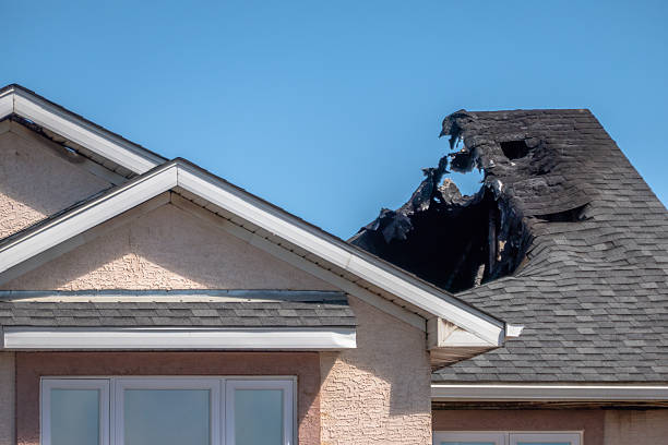 Top rated local Fire Damage Removal specialists in Burtonsville, MD